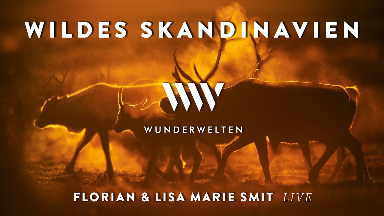 Vorschaubild: WunderWelten: Skandinavien - Unberührte Wildnis