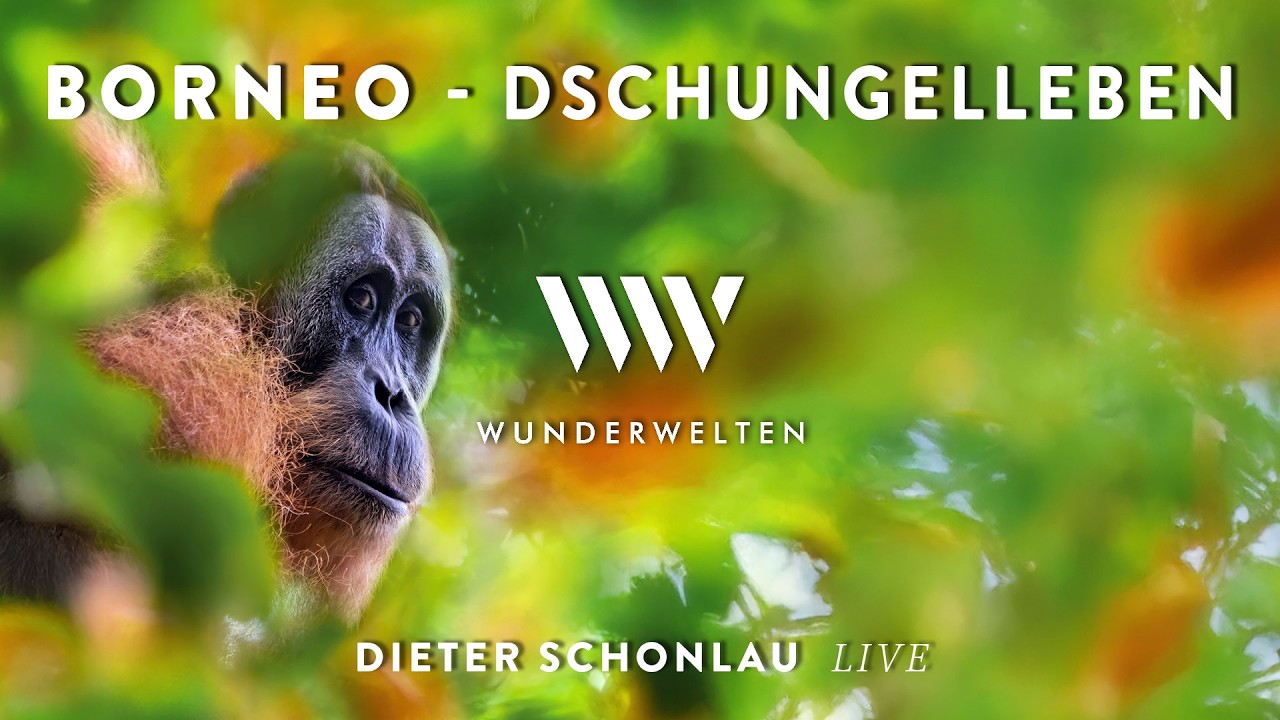 Vorschaubild: WunderWelten: Borneo - Dieter Schonlau & Sandra Hanke