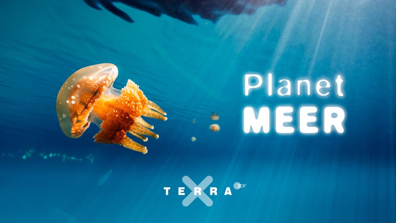 Vorschaubild: WunderWelten: Planet MEER - Terra X live von Uli Kunz