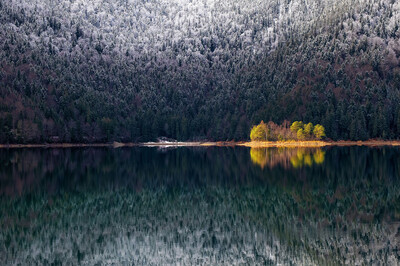Barbara Seiberl-Stark - Hoffnungsschimmer