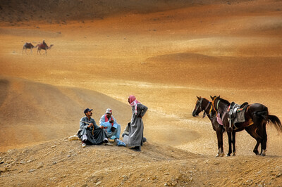Josef Schwarz - Fachgespräch