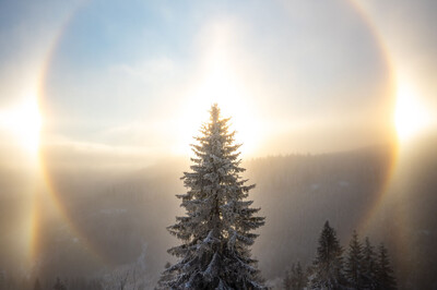 Christoph Schaarschmidt - Fichte