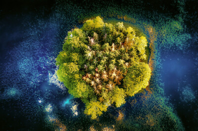 Rainer Luft - Kleine Insel im See