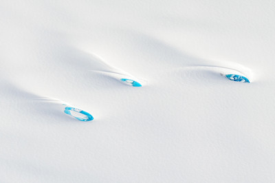 Günter Feiner - White Beauty - Auszeichnung in der Kategorie 