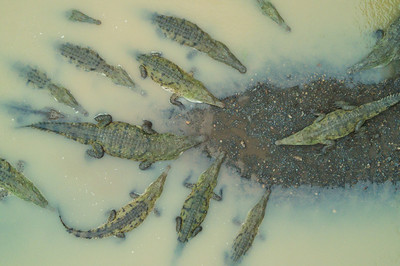 Niklas Weber - Formation - Auszeichnung in der Kategorie 