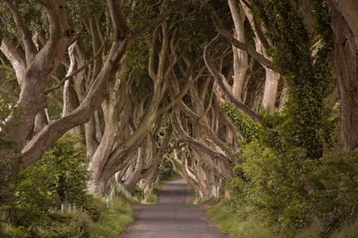 Aleksandra Wilk - Through the maze - Auszeichnung in der Kategorie 
