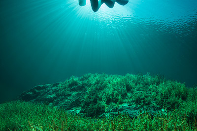 Konstantin Killer - Sonnengleiter - Auszeichnung in der Kategorie 