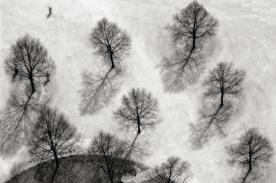 Klaus-Peter Selzer - Im Park - Auszeichung in der Kategorie 