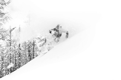 Michael Reinhardt - Escape - Auszeichnung in der Kategorie