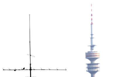 Christopher Meyer - Großstadtvogel Auszeichnung  Kategorie „Artenvielfalt in der Stadt“