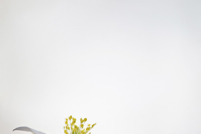 Annemarie Berlin - Ganz unten  Auszeichnung  Kategorie „Blumen und Pflanzen„