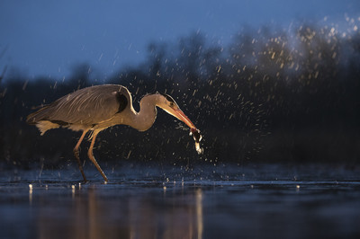 Martin Demmel - Fisherman Auszeichnung  Kategorie „Dämmerungs- & Nachtfotografie“